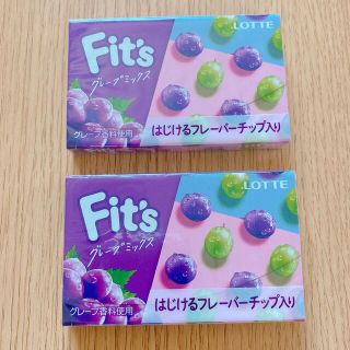 フィッツ 〈グレープミックス〉2個セット(菓子/デザート)