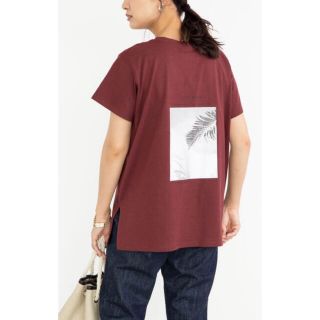 グリーンパークス(green parks)のグリーンパークス  トップス 半袖　Tシャツ　レディース  フォトプリント　夏(Tシャツ(半袖/袖なし))