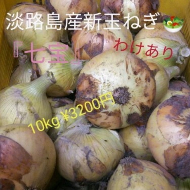 淡路島産新玉ねぎ わけあり10kg 食品/飲料/酒の食品(野菜)の商品写真