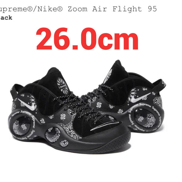 Supreme × Nike Air Zoom Flight 95 SP靴/シューズ