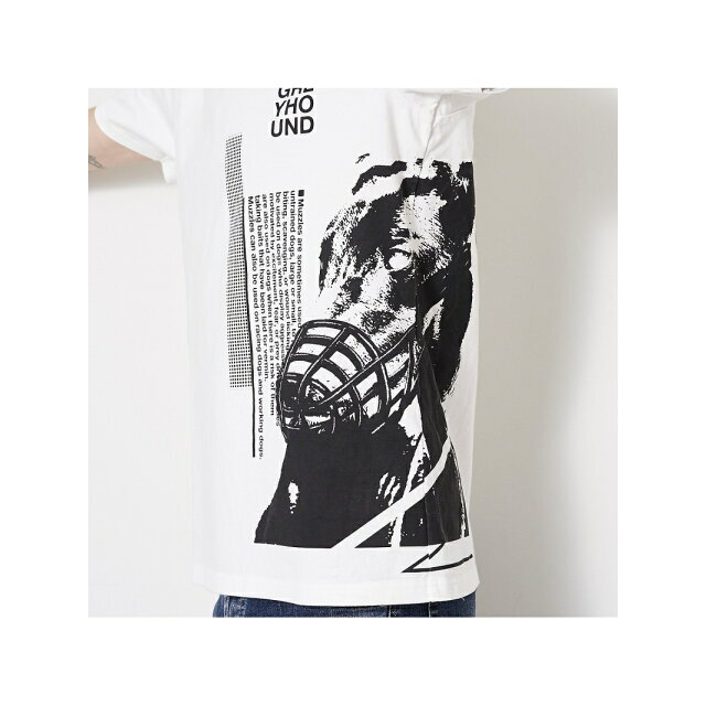 5351 POUR LES HOMMES(ゴーサンゴーイチプールオム)の【ホワイト】グレイハウンド 半袖Tシャツ その他のその他(その他)の商品写真