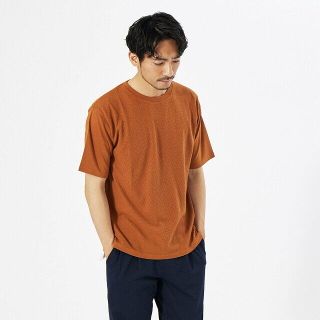 アバハウス(ABAHOUSE)の【テラコッタ】【シェブロン柄】ジャガード 半袖 Tシャツ(Tシャツ/カットソー(半袖/袖なし))