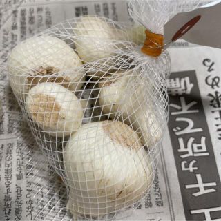 大分県産　ホワイト六片ニンニク400グラム(野菜)