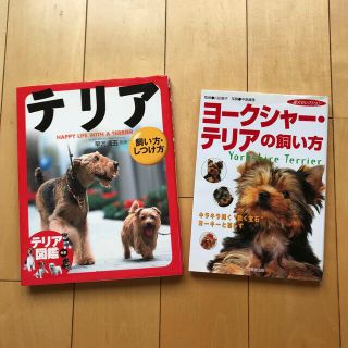 テリア、ヨークシャー・テリアの飼い方(2冊)(住まい/暮らし/子育て)