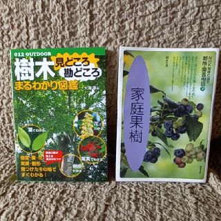 (2冊)　家庭果樹　樹木見どころ勘どころまるわかり図鑑(趣味/スポーツ/実用)