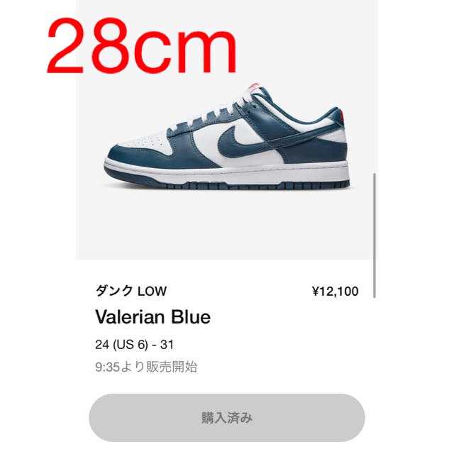 新品未使用　NIKE DUNK LOW ナイキ ダンクバレリアンブルー　28cm