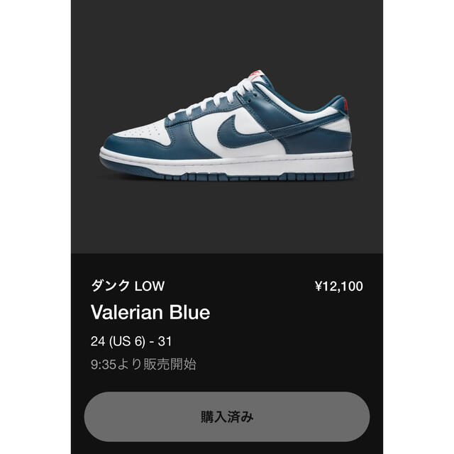 Nike Dunk Low Valerian Blue 28.5