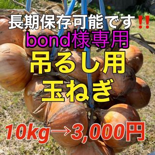 吊るして保存出来る❣️玉葱10kg入❗️(野菜)