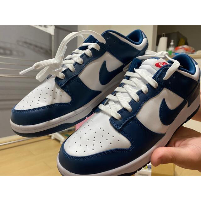 Nike Dunk Low ナイキ ダンクロー バレリアンブルー 28.5