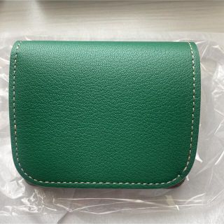 新品　ワイルドスワンズ　カーサ　アルランゴート　グリーン　限定　特別生産モデル(折り財布)