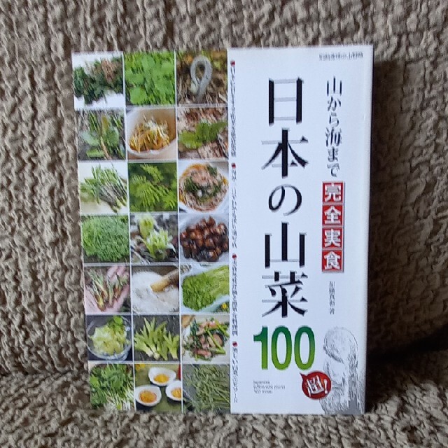 日本の山菜100超 エンタメ/ホビーの本(その他)の商品写真
