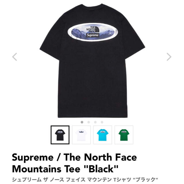 Supreme The North Face Mountains Tee