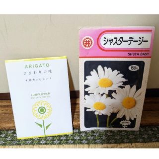 花の種　２点セット(その他)