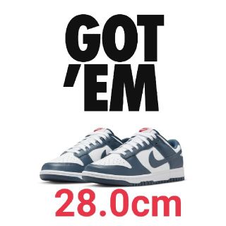 ナイキ(NIKE)のナイキ ダンク Low Valerian Blue 28cm Dunk(スニーカー)