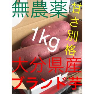 無農薬大分産ブランド芋サツマイモ 貯蔵180日熟成紅はるか1キロ送料無料L A品(野菜)