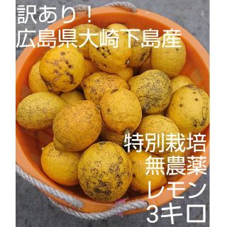 【常温便！訳あり】無農薬！広島県大崎下島産 特別栽培レモン3キロ(フルーツ)