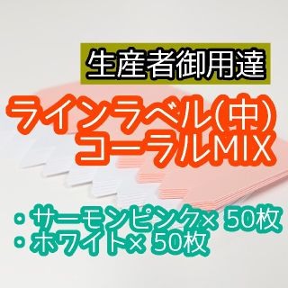 ラインラベル 中 100枚 肌白 園芸ラベル カラーラベル 多肉植物 エケベリア(その他)