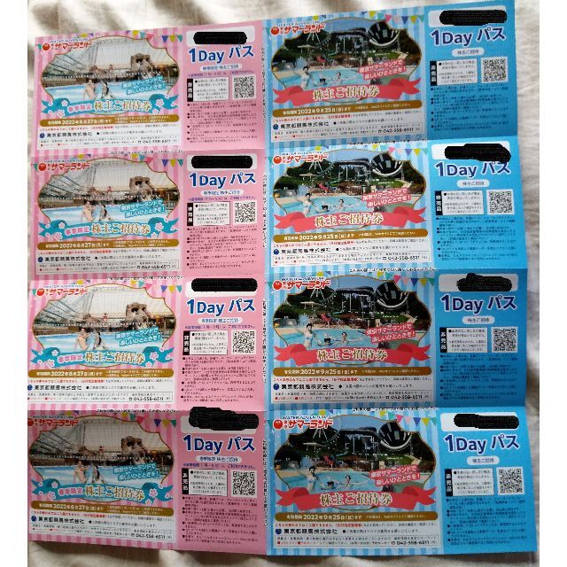 クーポン利用で1000円OFF 東京都競馬場 東京サマーランド 株主優待
