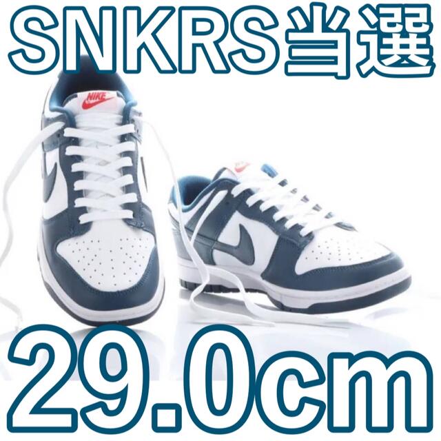 NIKE(ナイキ)のNike Dunk Low Valerian Blue 29.0cm メンズの靴/シューズ(スニーカー)の商品写真