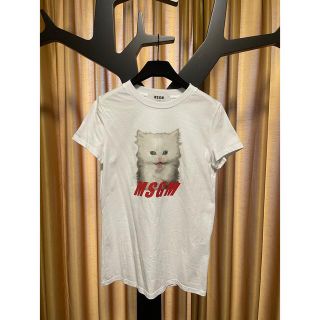 MSGM Tシャツ　エムエスジーエム　半袖　Tシャツ　猫プリント