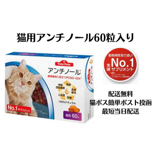 猫用アンチノール60粒入り新品未開封1箱