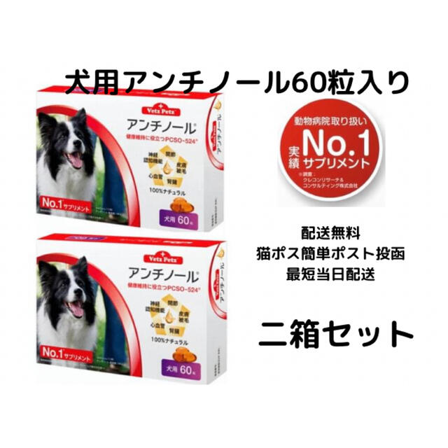犬用アンチノール60粒入り新品未開封2箱 - 犬