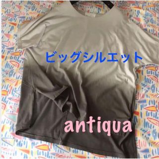 アンティカ(antiqua)のアンティカ パターントルソー ★ビッグシルエット　オーバーTシャツ　コットン(Tシャツ(半袖/袖なし))