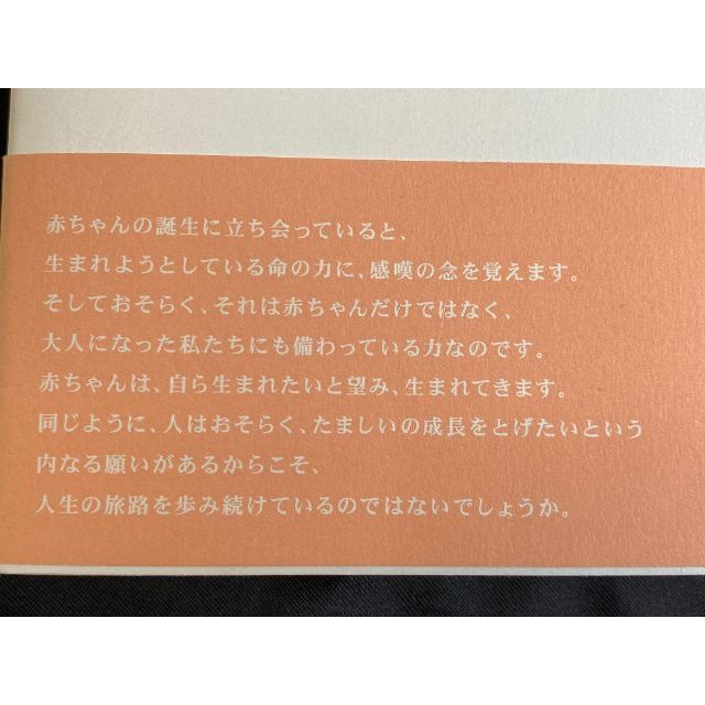 あなたが生まれてからくわばたりえ 子どもは親を選んで生まれてくる育児出産子育て本 エンタメ/ホビーの本(住まい/暮らし/子育て)の商品写真