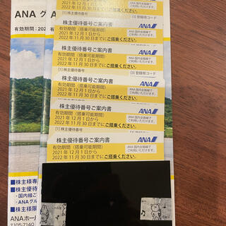 エーエヌエー(ゼンニッポンクウユ)(ANA(全日本空輸))の専用❣️ANA株主優待券　6枚分になります。(その他)