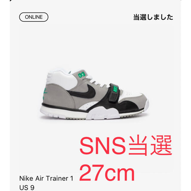 Nike Air Trainer 1  Chlorophyll 27.0㎝ 1