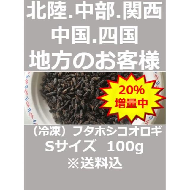 北陸中部関西中国四国地方の方　冷凍コオロギ 120ｇSサイズ フタホシコオロギ その他のペット用品(爬虫類/両生類用品)の商品写真