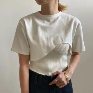 アメリヴィンテージ(Ameri VINTAGE)のMEDI KNIT BUSTIER COMBI TEE(Tシャツ(半袖/袖なし))