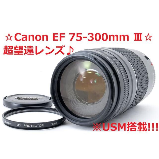 旅行 イベント スポーツ CANON EF 75-300㎜ III USM - レンズ(ズーム)