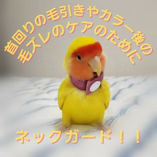 インコ エリザベスカラー(ネックガード)2個セット・3サイズ(鳥)