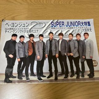 スーパージュニア(SUPER JUNIOR)のChoa SUPER JUNIOR ペ・ヨンジュン 大国男児 チャン・グンソク(アート/エンタメ/ホビー)