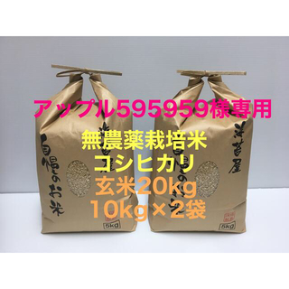 アップル595959様専用 無農薬コシヒカリ玄米10kg×4 黒海苔 全形50枚(米/穀物)