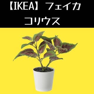 イケア(IKEA)のIKEA フェイカ　コリウス(置物)