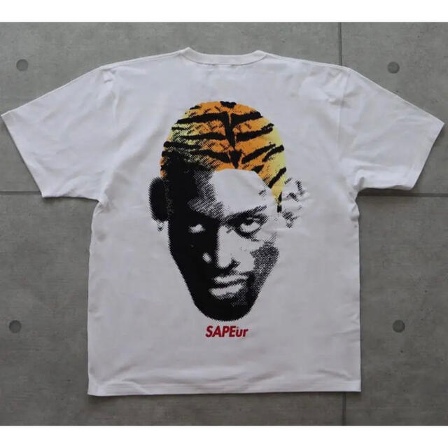 サプールサプール SAPEur XXL TIGERHEAD  Tシャツ