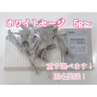 【匿名発送】国産★自家製無農薬ハーブ　ホワイトセージ　5g〜　浄化などに！(お香/香炉)