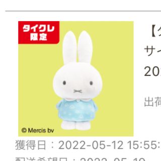 ミッフィー特大サイズMOREぬいぐるみvol.9 2022 spring(ぬいぐるみ)