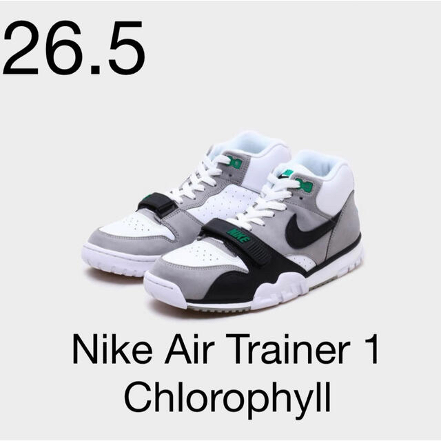 【新品】Nike Air Trainer 1 Chlorophyll