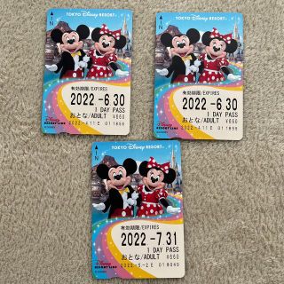 ディズニー(Disney)の東京ディズニーリゾートライン　1daypass(遊園地/テーマパーク)