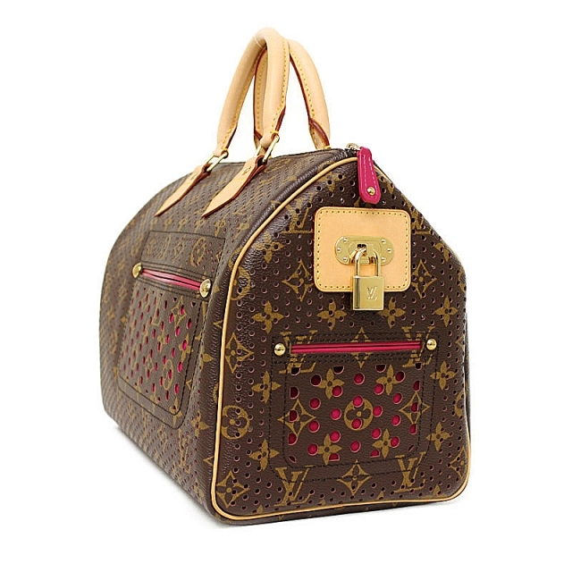 限定品 レア 限定品✨LOUIS VUITTON ペルフォ スピーディ 30 ...