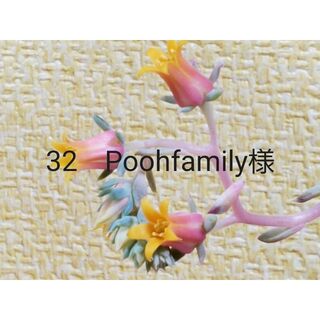 32　Poohfamily様(その他)