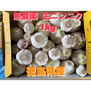 生ニンニク 無農薬 徳島県産(野菜)