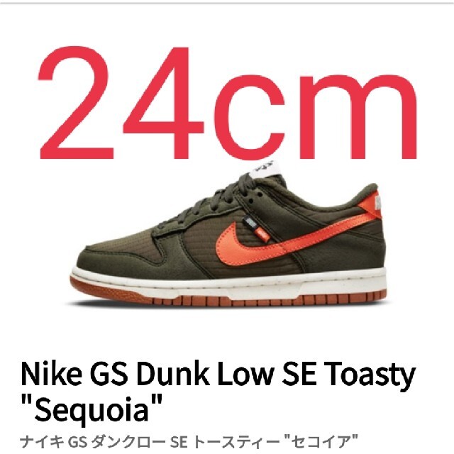 NIKE(ナイキ)の[新品]ナイキ　ジュニア　ダンク　ロー　トースティー　セコイア レディースの靴/シューズ(スニーカー)の商品写真