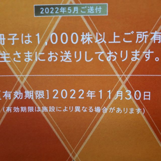 西武ホールディングス 株主優待冊子（各施設割引券等）未使用　最新 2