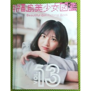 福島美少女図鑑vol.13 2冊(アート/エンタメ/ホビー)