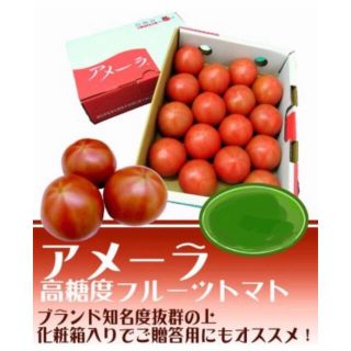 1ケース　アメーラトマト　自信あります！　高糖度　フルーツトマト　品質鮮度抜群！(野菜)