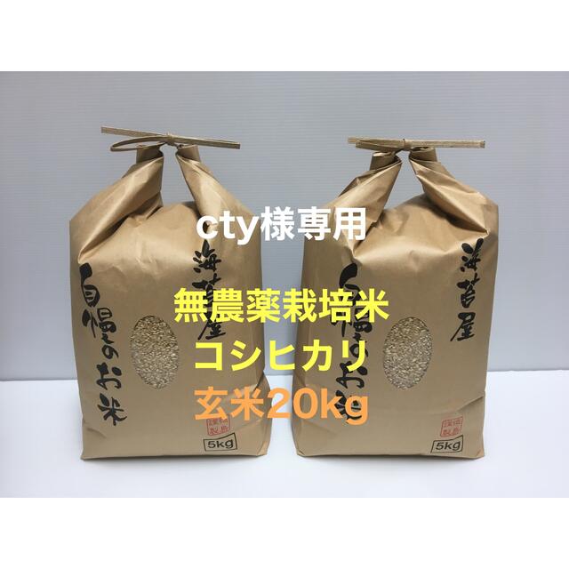 小物などお買い得な福袋 cty 無農薬コシヒカリ玄米20kg、初摘み焼き海苔 30枚 令和3年産 米/穀物 小物などお買い得な福袋 cty 無農薬コシヒカリ玄米20kg、初摘み焼き海苔 30枚 令和3年産 米/穀物